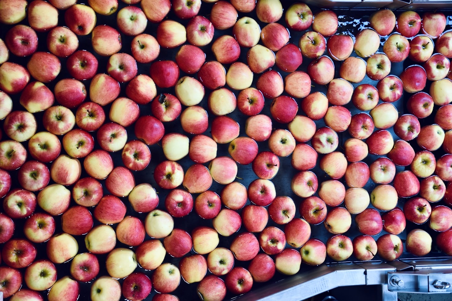 The Future of Food Trade and Distribution